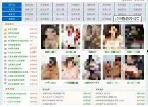 成人网页视频,内容、影响与监管探讨