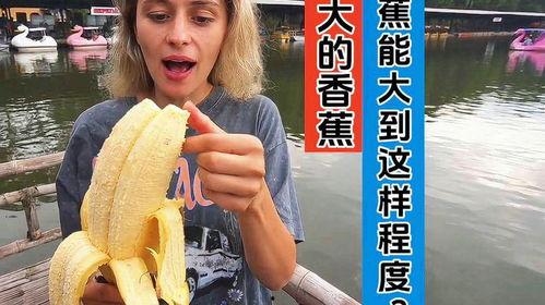 大香蕉中文视频,揭秘激情瞬间，带你领略视觉盛宴