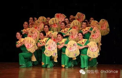 中老年体操舞视频大全,活力四射，健康生活新篇章