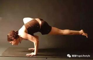 瑜伽24式视频,轻松入门，全面塑形