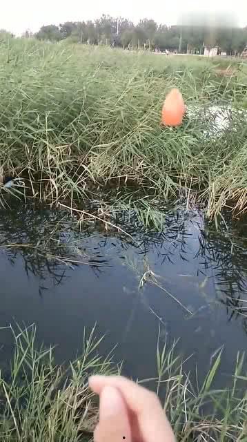 钓鱼教程视频,新手必看！钓鱼教程视频精华汇总