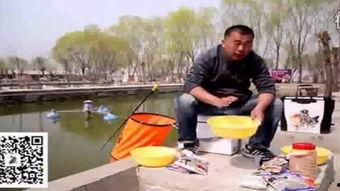 钓鱼教程视频,新手必看！钓鱼教程视频精华汇总