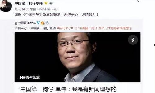 最新吃瓜爆料电影名字叫什么,揭秘最新吃瓜爆料电影瓜界传奇