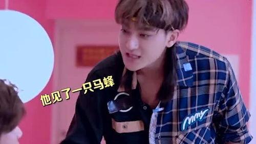 鹿晗爆料吃瓜是真的吗,真相揭秘还是炒作？