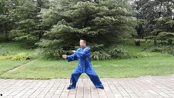 视频太极拳,动静结合，养生健身的艺术之道