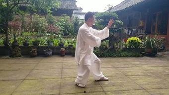 视频太极拳,动静结合，养生健身的艺术之道