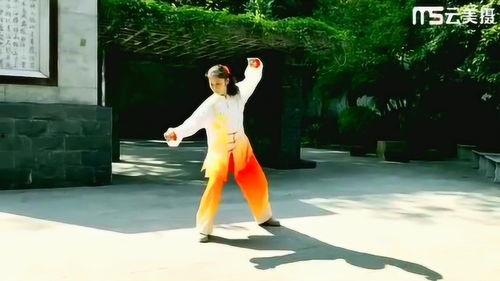 视频太极拳,动静结合，养生健身的艺术之道