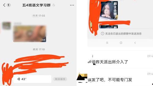 群聊视频,一窥社交互动的魅力