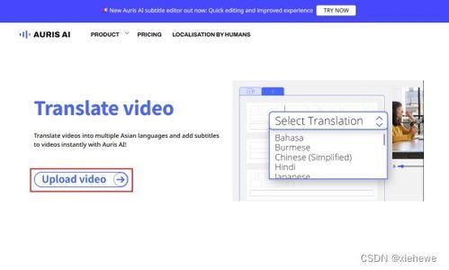 视频的翻译,跨越语言障碍的翻译之旅