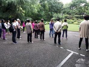 郭林气功教学视频全集,揭秘养生功法精髓