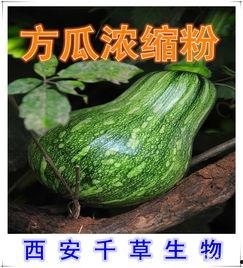 方瓜今日价,市场动态一览