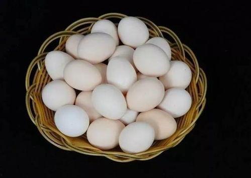 方瓜今日价,市场动态一览