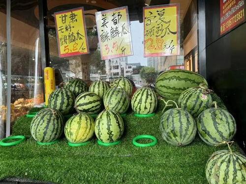 今日无籽麒麟瓜价格最新行情,价格波动解析