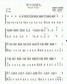 钢琴梦中的婚礼视频,浪漫旋律下的甜蜜誓言