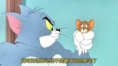 老鼠搞笑视频,欢乐满屏，笑料连连