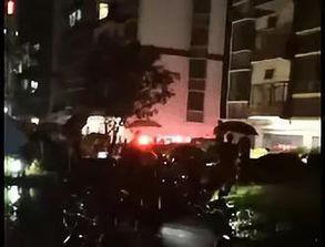 噼噼啪啪视频,揭秘短视频的魅力与传播力量