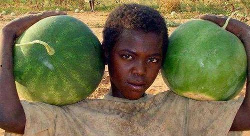 黑料吃黑瓜,黑料与黑瓜背后的真相