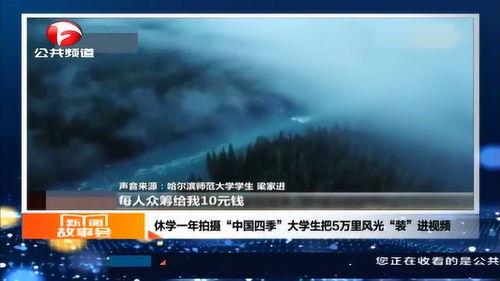 四季视频,探寻视频中的四季之美