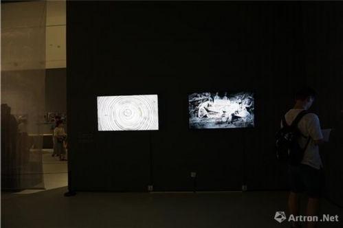 影像视频,捕捉瞬间，展现无限可能