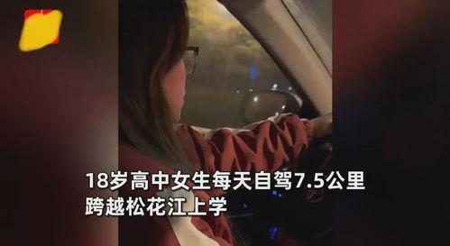 老司机成年免费视频,成年人的秘密世界大公开