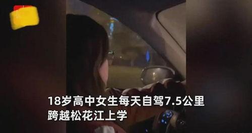 老司机成年免费视频,成年人的秘密世界大公开