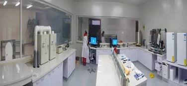 上海祥欣种猪视频,科技赋能下的养殖新篇章