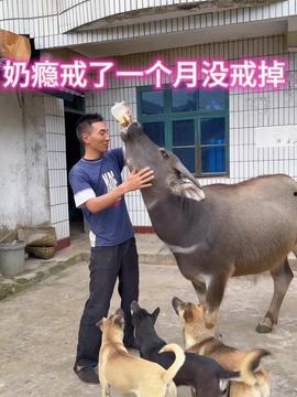 牛牛在线观看视频,畅享海量视频，轻松开启视听盛宴