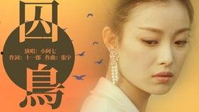 zuo爱视频,揭秘网络情感世界的真实面貌