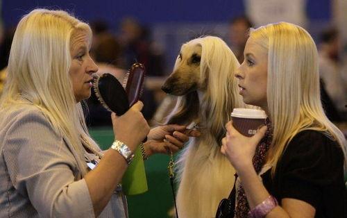 狗日女人视频,揭示女性在影视作品中的边缘化与歧视