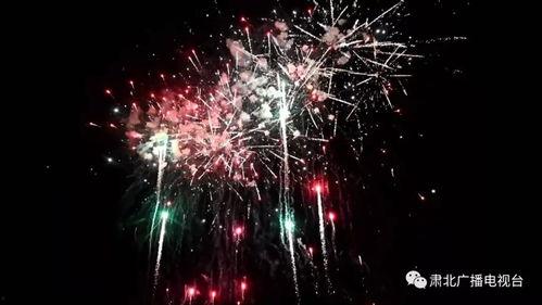 烟花秀视频,烟花秀绽放的视觉盛宴