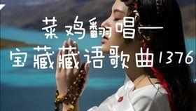 藏语搞笑视频,揭秘高原幽默风趣瞬间