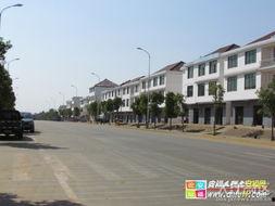 安福瓜乡今日新闻,丰收盛景映照乡村振兴新画卷