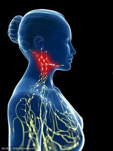 淋巴结触诊视频,实用操作步骤解析