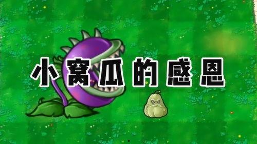 吃瓜爆料官网小僵尸怎么打,吃瓜爆料官网教你轻松应对