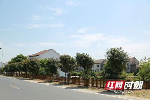 益阳沙头镇龙舟视频,激情四溢的民俗盛宴