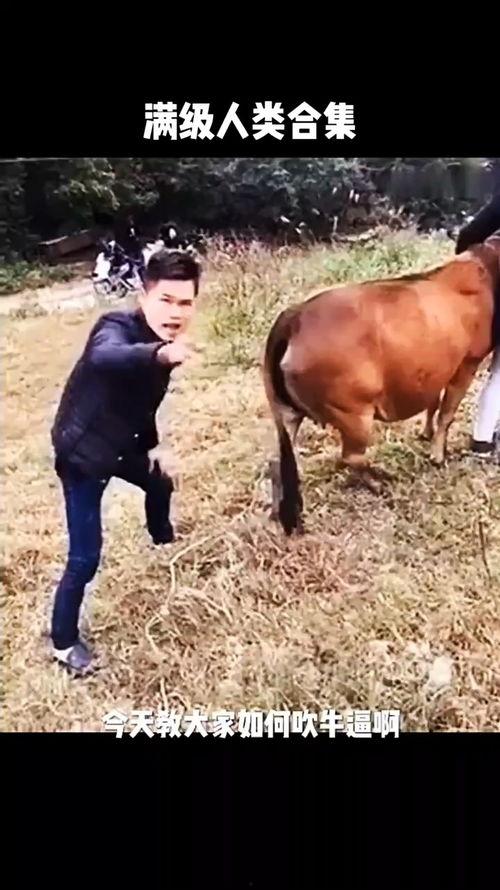 吹牛视频搞笑视频,笑翻全场！吹牛搞笑视频大盘点