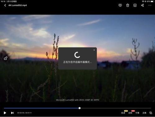 视频更新,揭秘最新动态与趋势
