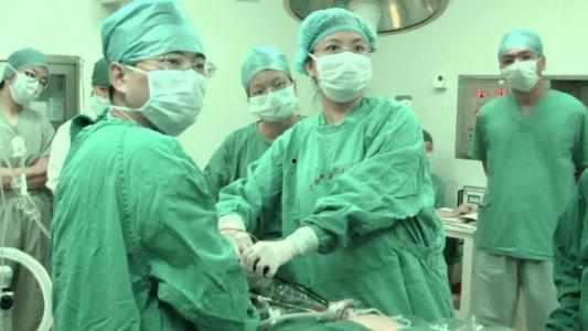 妇科检查的视频,专业视角下的女性健康洞察