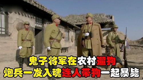 干炮视频,揭秘网络短视频的火爆现象与背后故事