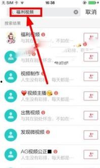 天天啪啪视频在线,一场视觉与情感的盛宴