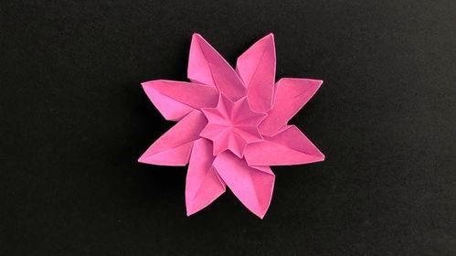 折花视频,艺术与生活的完美融合