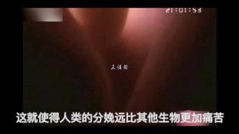 生 视频,视频深度解析