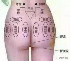 女人臀部针灸视频,女性健康与塑形的秘密之道