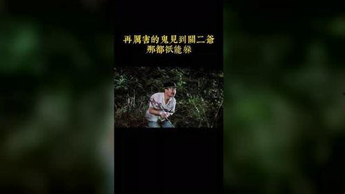 片段视频,瞬间捕捉的精彩瞬间回顾