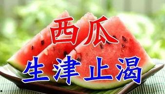 今日宜吃瓜小说合集,今日宜吃瓜小说合集精彩抢先看