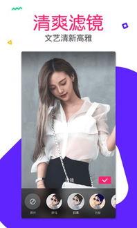 有料视频,深度解析热门话题背后的真相