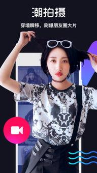 有料视频,深度解析热门话题背后的真相