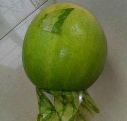 今日滕州吃瓜事件,一场网络热议背后的真相揭秘