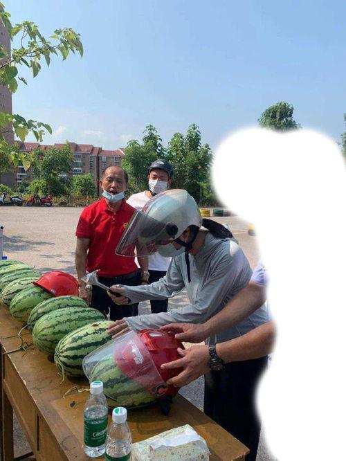 今日滕州吃瓜事件,一场网络热议背后的真相揭秘