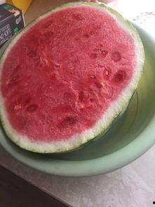 吃瓜黑瓜爆料是真的吗,真相揭秘，是真是假？